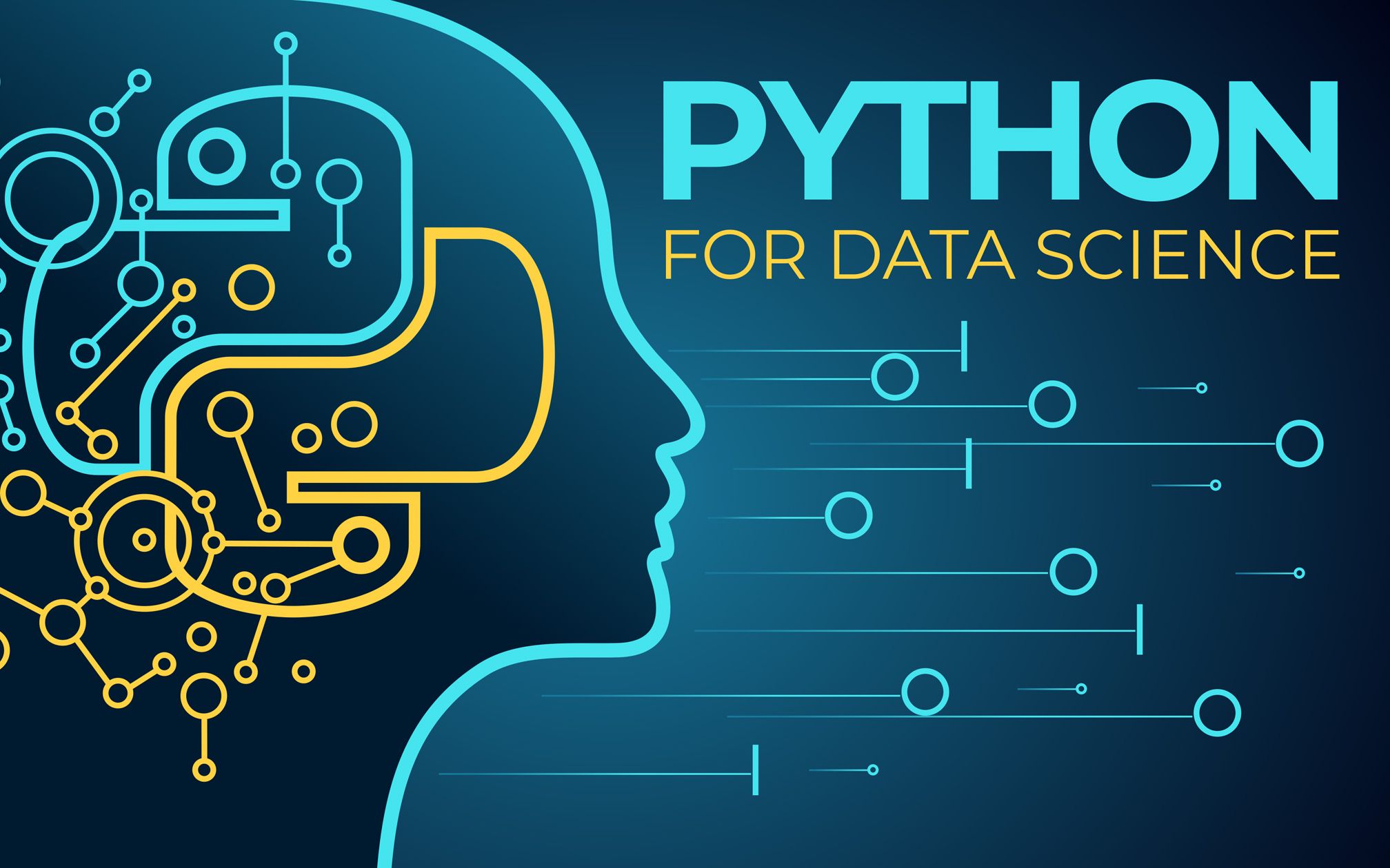 Python for Data Science & Machine Learning Bootcamp