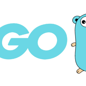 GO- The complete Guide ( GOLANG )